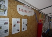 jaunasis-gelbetojas-2012-421