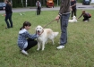 jaunasis-gelbetojas-2012-2pam-015